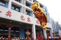 醒狮贺岁，成都朱明企业管理咨询有限公司2019年开工大吉