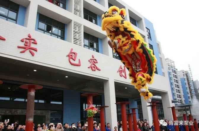 醒狮贺岁，成都朱明企业管理咨询有限公司2019年开工大吉